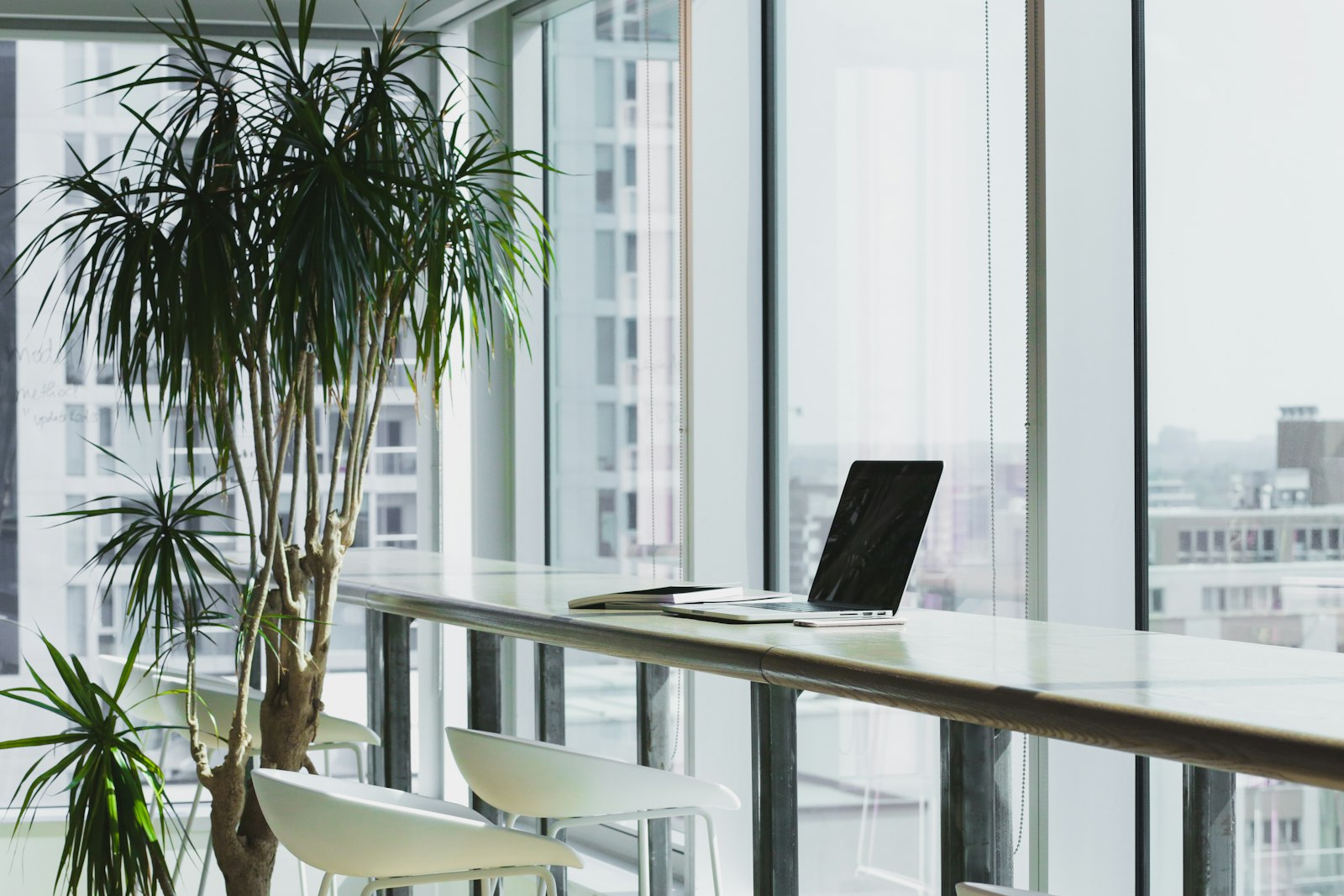 Bright modern office workspace by the windows