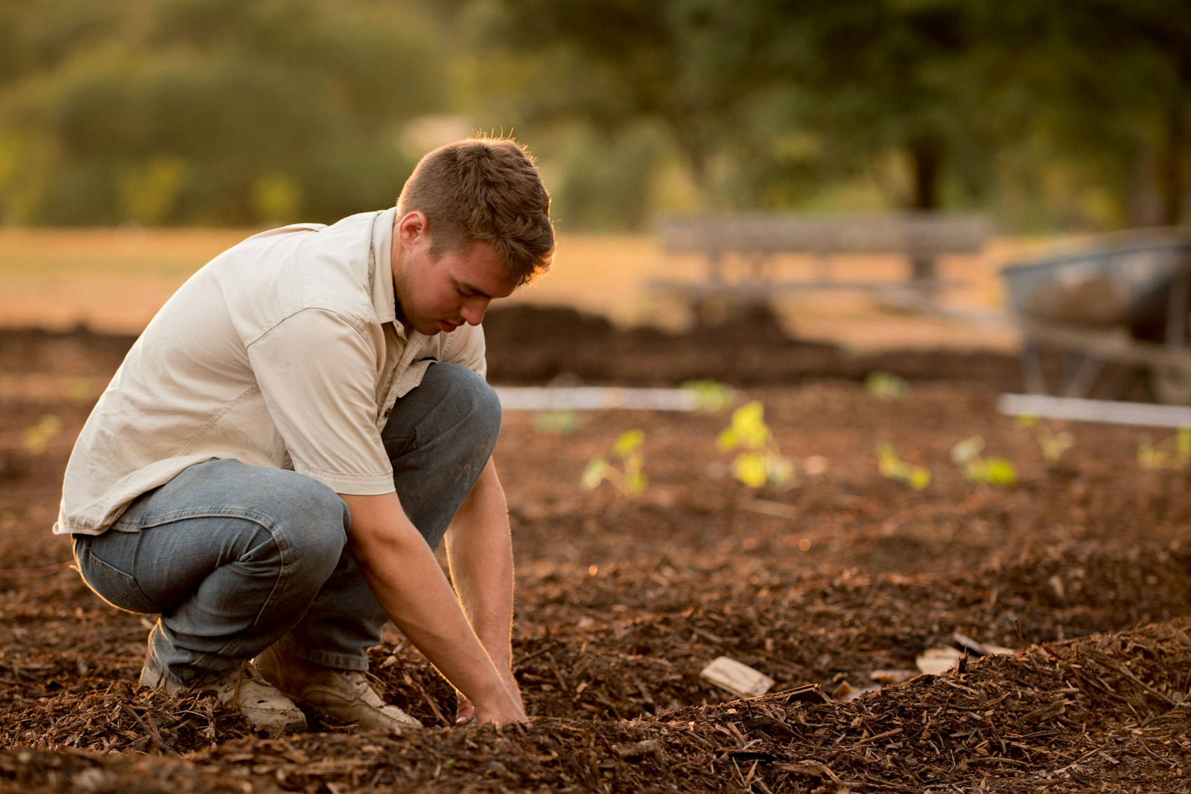 Agronomist assessing soil in a freshly planted field