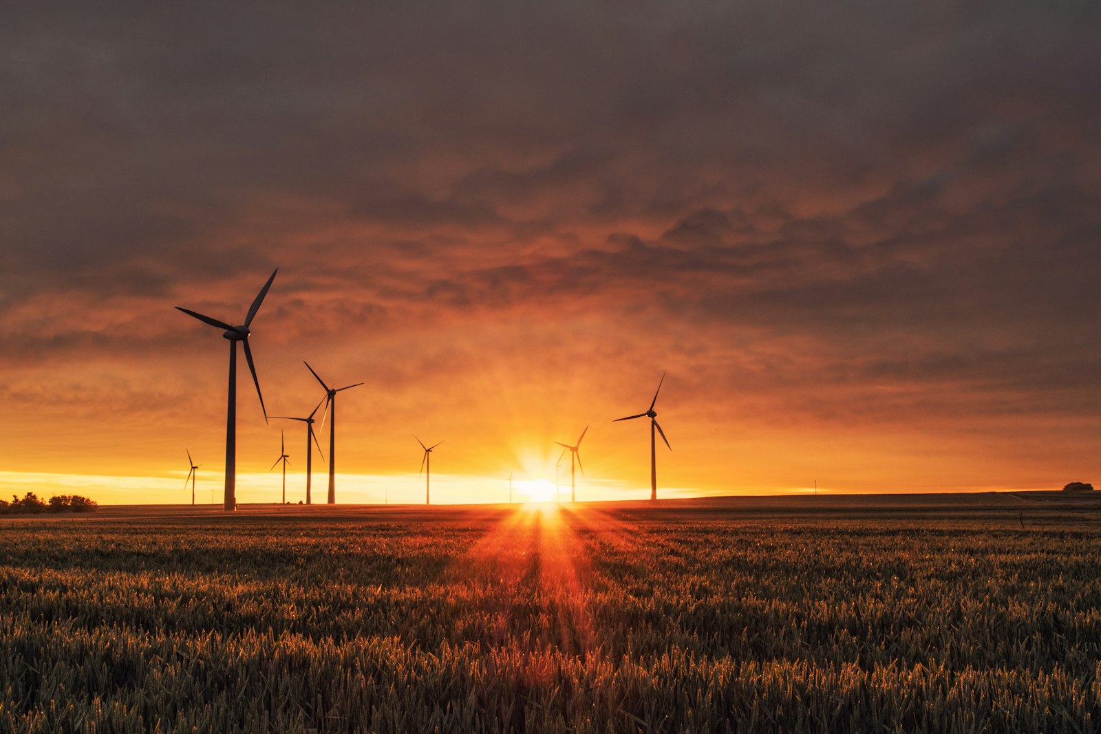 Wind turbines standing over farmland at sunset